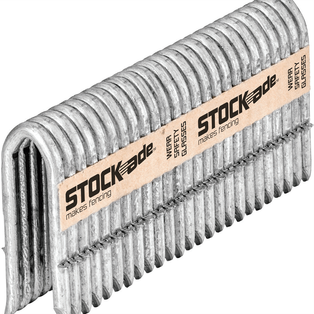 Stockade Fencing Staples 50mm